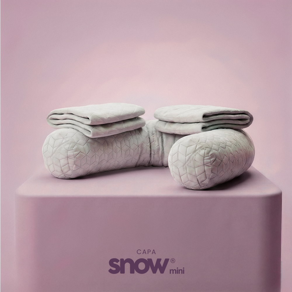 Kit com 2 Capas para Travesseiros IWS Snow®
