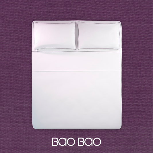 BaoBao_1.png__PID:c401a6af-817e-461b-9acc-e8b7e2078e24