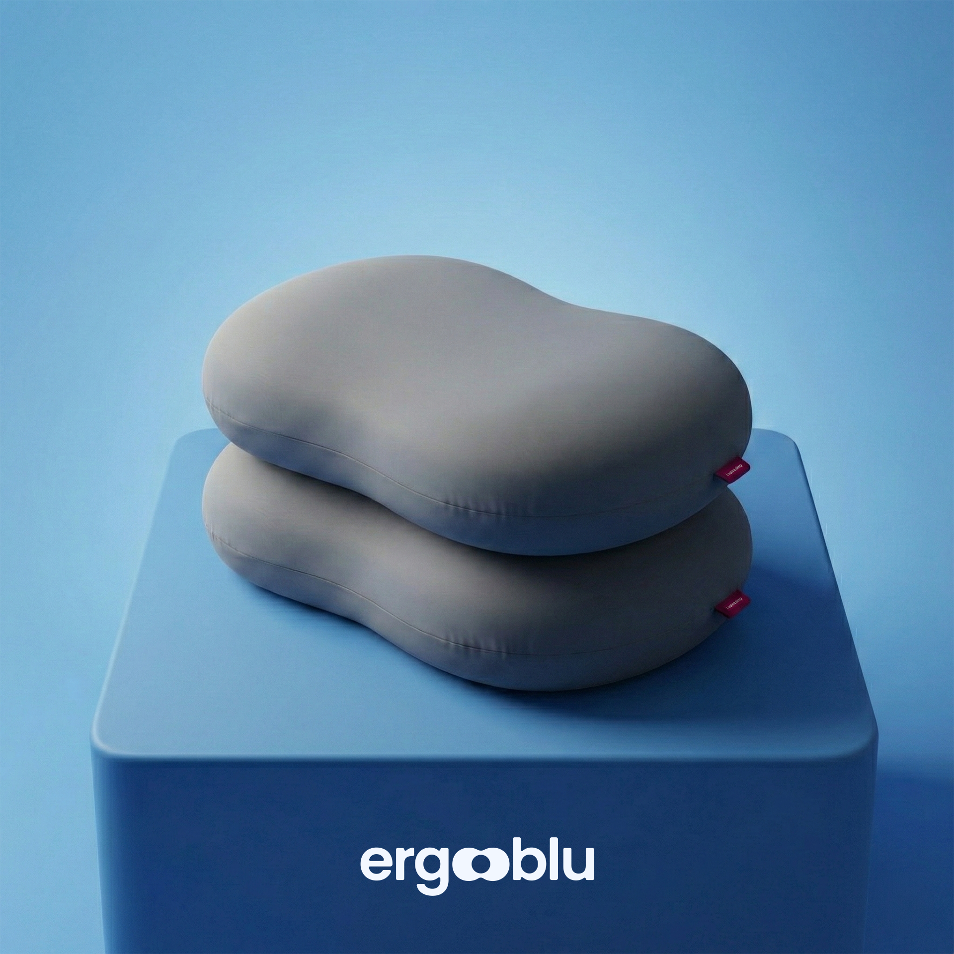 Kit com 2 Travesseiros IWS Ergoblu™