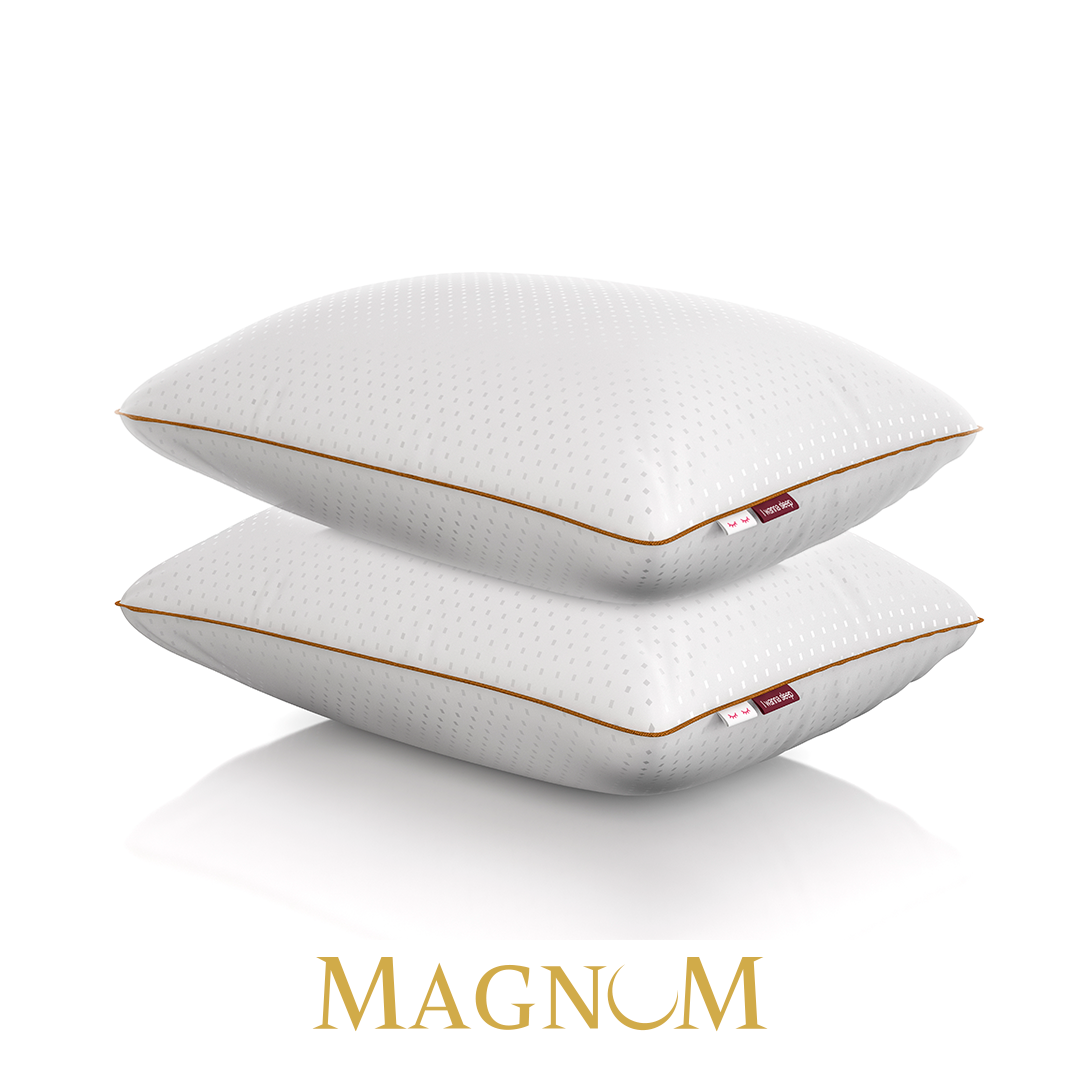 BRINDE | 2x Travesseiro Magnum Pluma AirFiber IWS